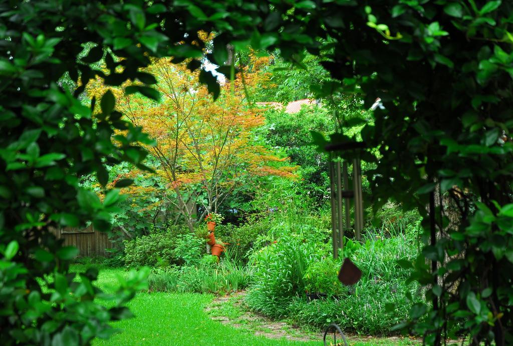 ويلمنجتون C.W. Worth House Bed And Breakfast الغرفة الصورة
